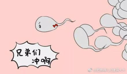 男性不育检查治疗调理