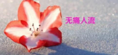 ʹҪϢأ